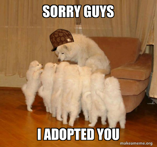 Scumbag Storytelling Dog meme