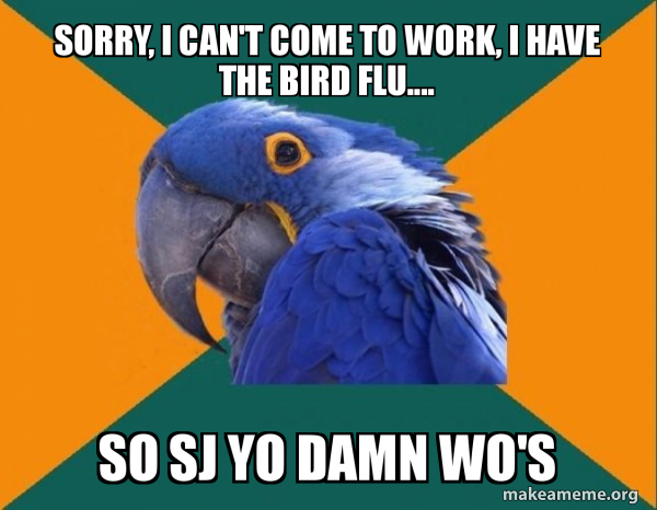 Paranoid Parrot meme