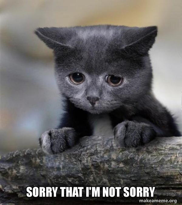 sorry that i'm not sorry Confession Cat Meme Generator