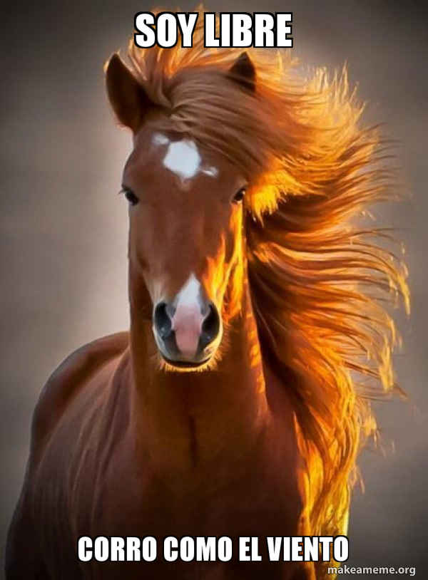 Ridiculously photogenic horse meme