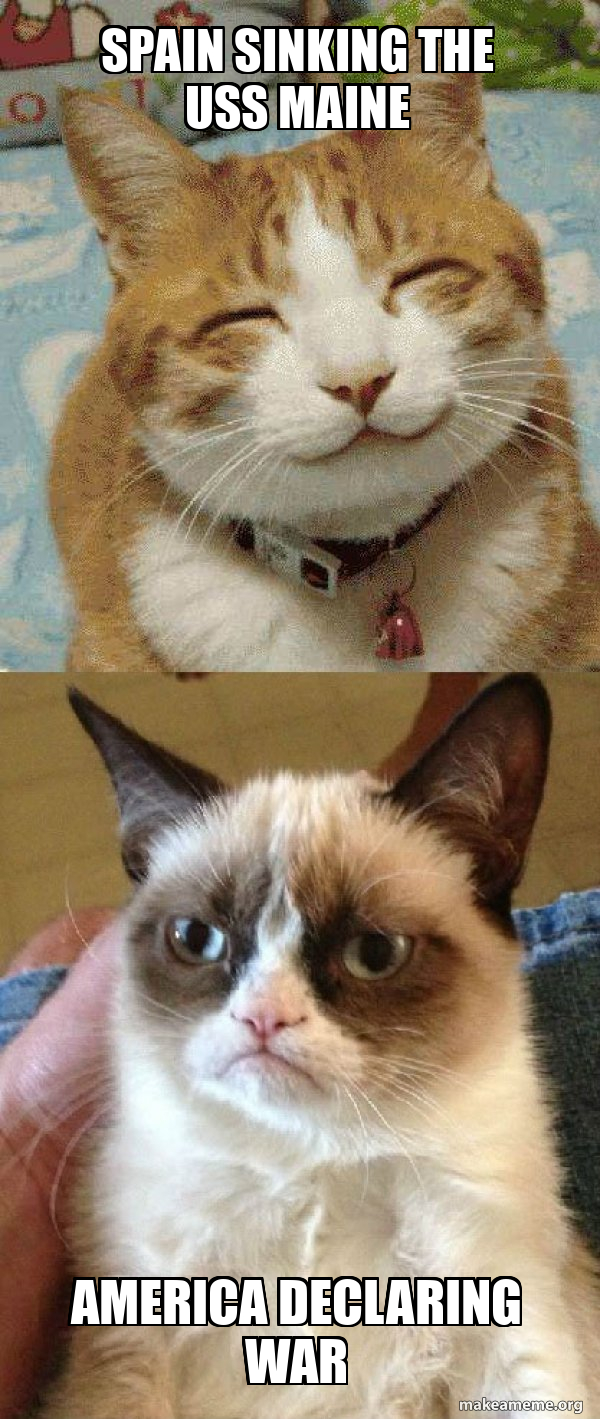 Grumpy Cat vs Happy Cat meme