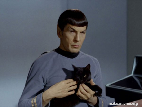 Spock and Cat Meme meme