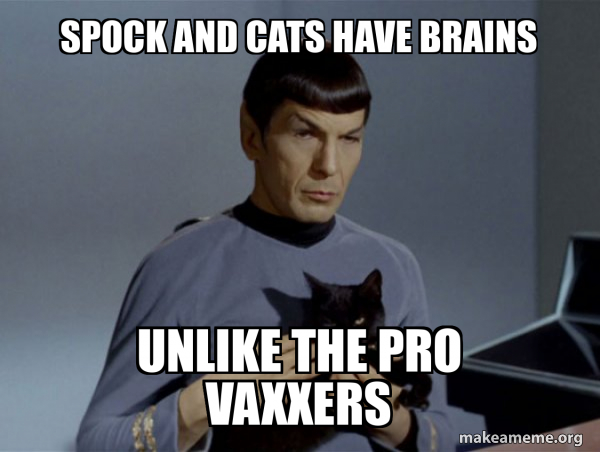 Spock and Cat Meme meme