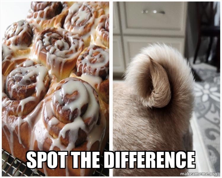 SPOT THE DIFFERENCE Meme Generator