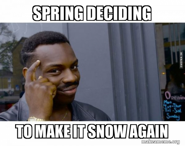 Color Deciding Meme Spring deciding to make it snow again - Roll Safe Black Guy Pointing at ...