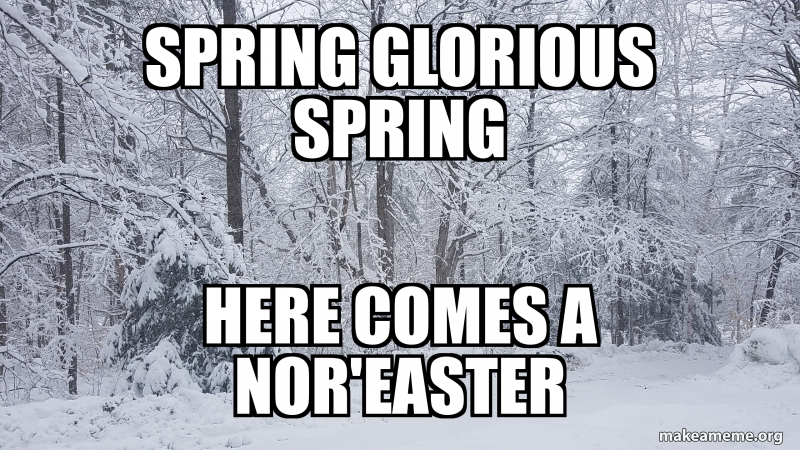Spring glorious spring Here comes a Nor'easter Meme Generator