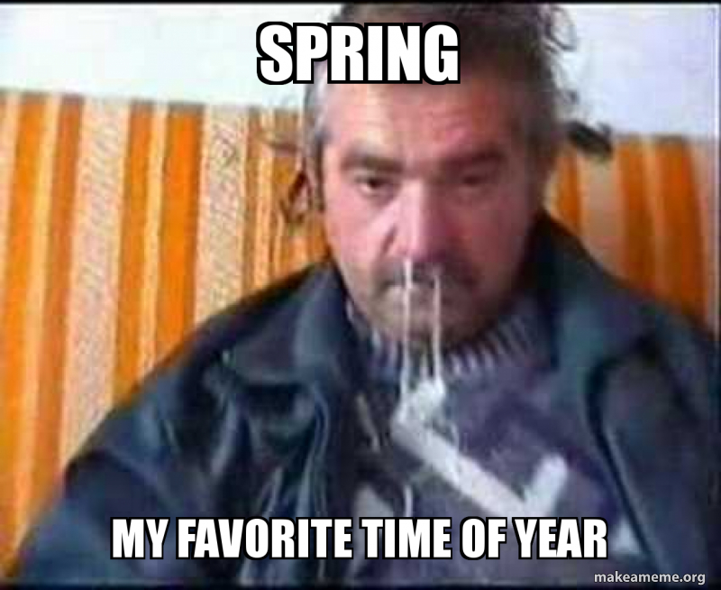 Spring My Favorite Time of year Meme Generator