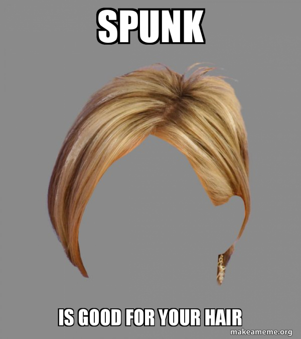 The Karen Hair meme