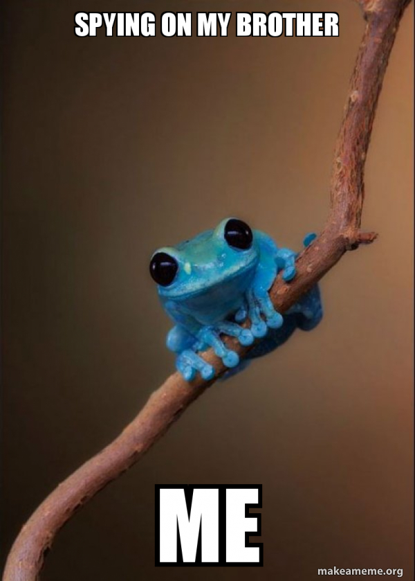 Small Fact Frog meme