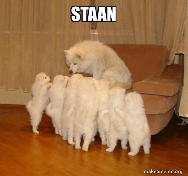 Storytelling Dog meme