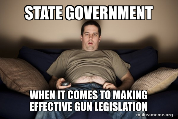 State Government when it comes to making effective gun legislation ...