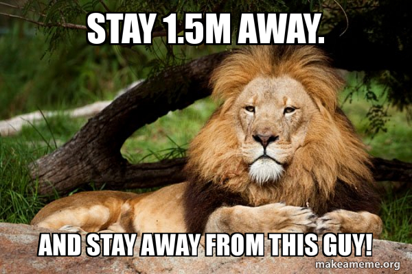 Contemplative Lion meme