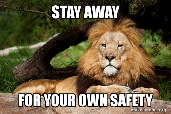 Contemplative Lion meme