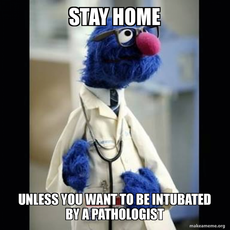 Stay Home Unless You Want To Be Intubated By A Pathologist Make A Meme