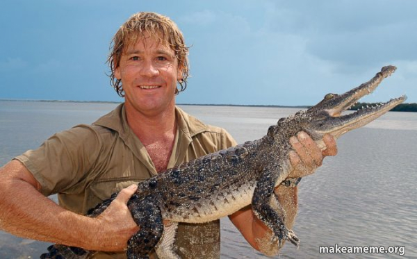 Steve irwin meme