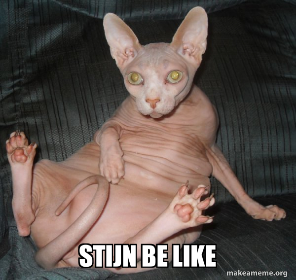 Hairless Cat meme