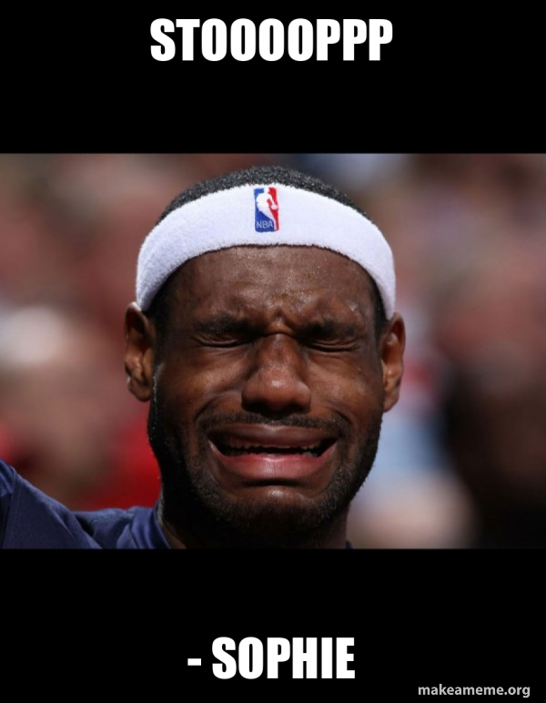 Lebron Crying meme