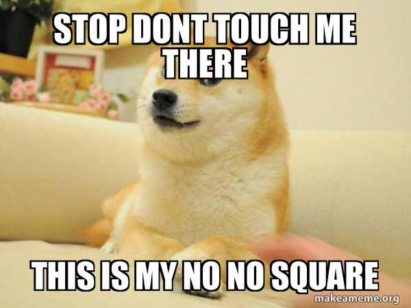 Stop dont touch me there this is my no no square - Doge Meme Generator