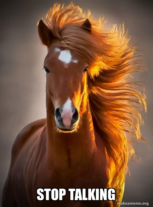 Ridiculously photogenic horse meme