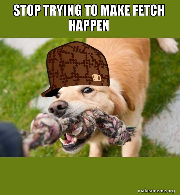 stop trying to make fetch happen dog