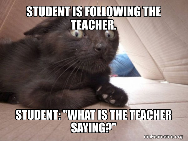 Schitzo Cat meme
