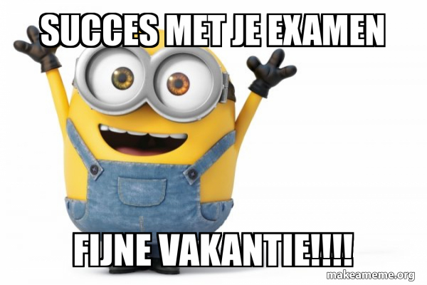 SUCCES MET JE EXAMEN FIJNE VAKANTIE!!!! - Happy Minion Meme Generator