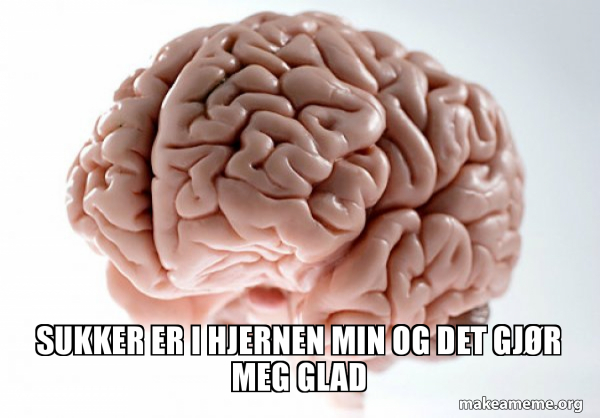 Scumbag Brain meme