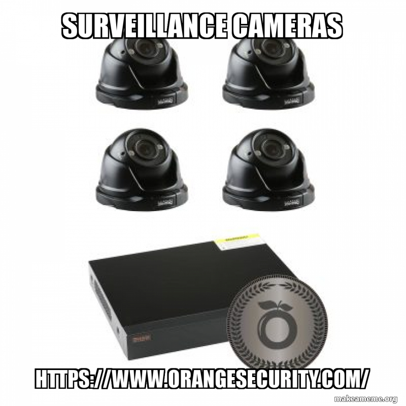 Surveillance Cameras Make a Meme