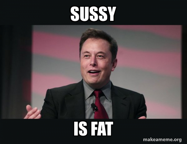 Elon Musk meme