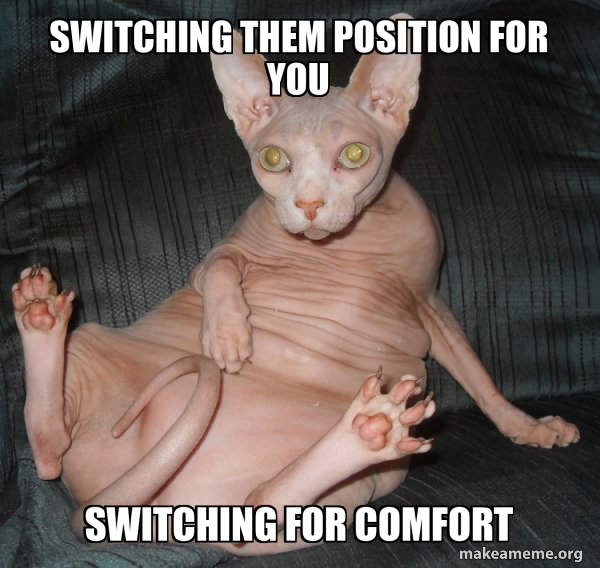 Hairless Cat meme