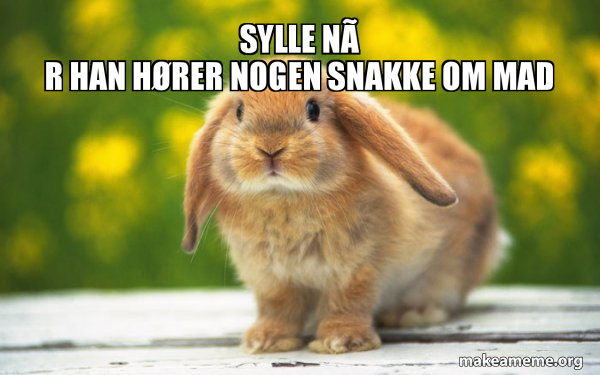 Regretful Rabbit meme