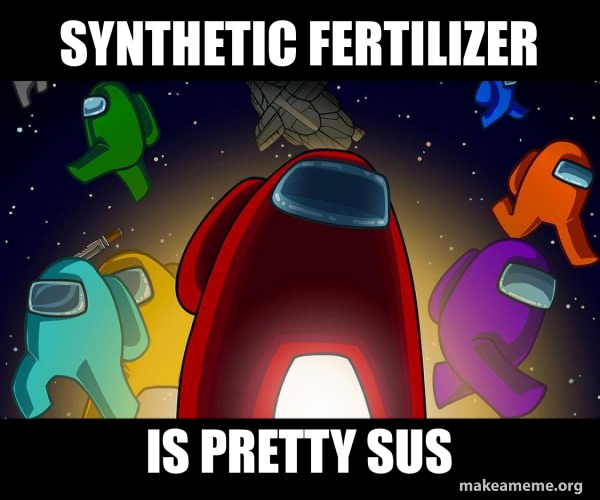 Among Us meme