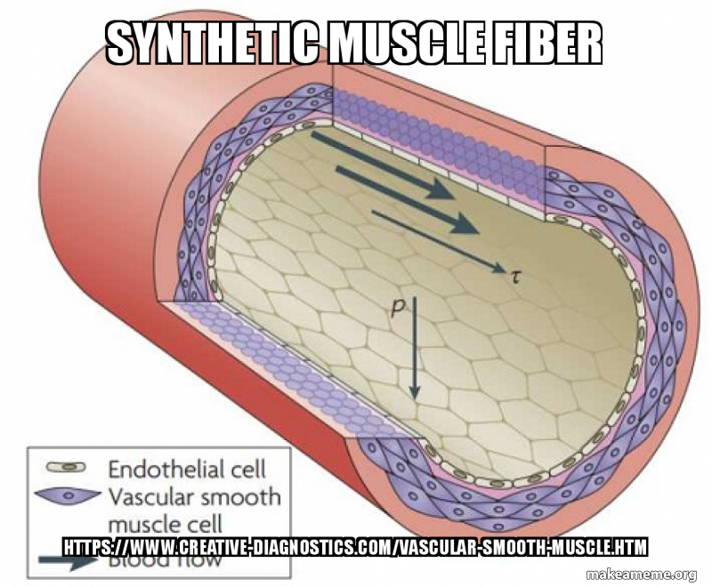 synthetic muscle fiber https://www.creative-diagnostics.com/vascular ...