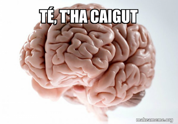 Scumbag Brain meme