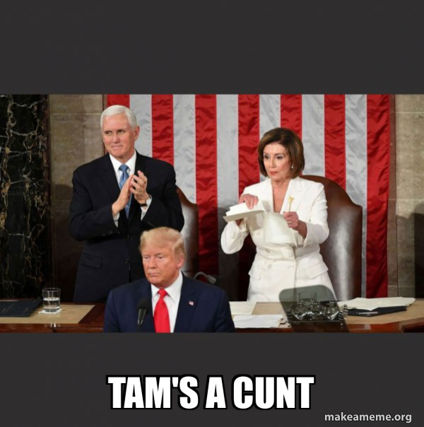 Nancy Pelosi ripping Trump's speech up meme