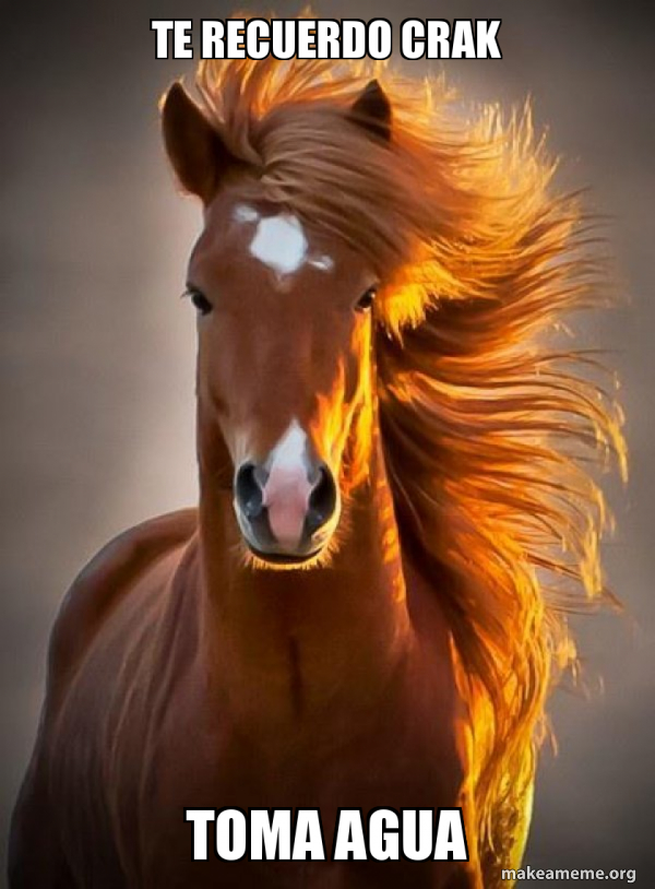 Ridiculously photogenic horse meme