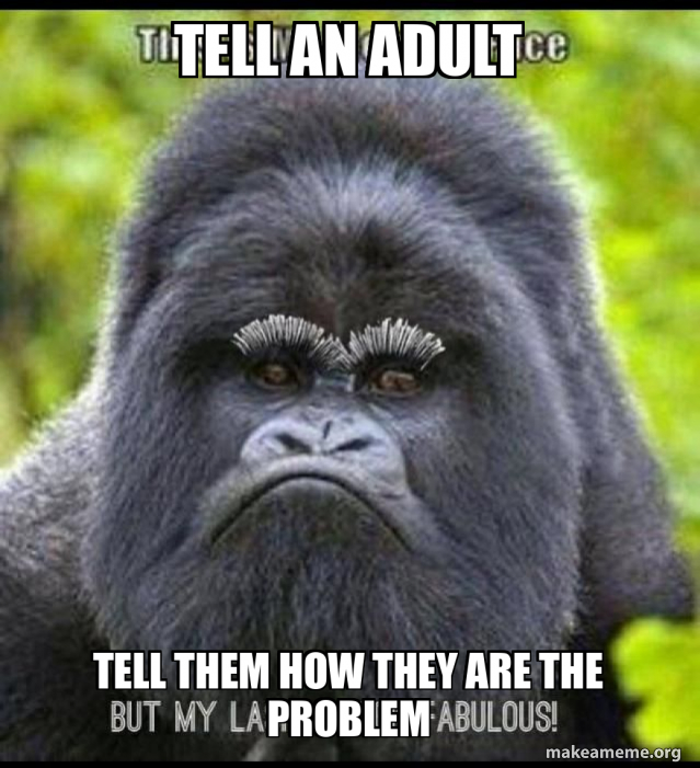 Tell an adult Tell them how they are the problem Meme Generator