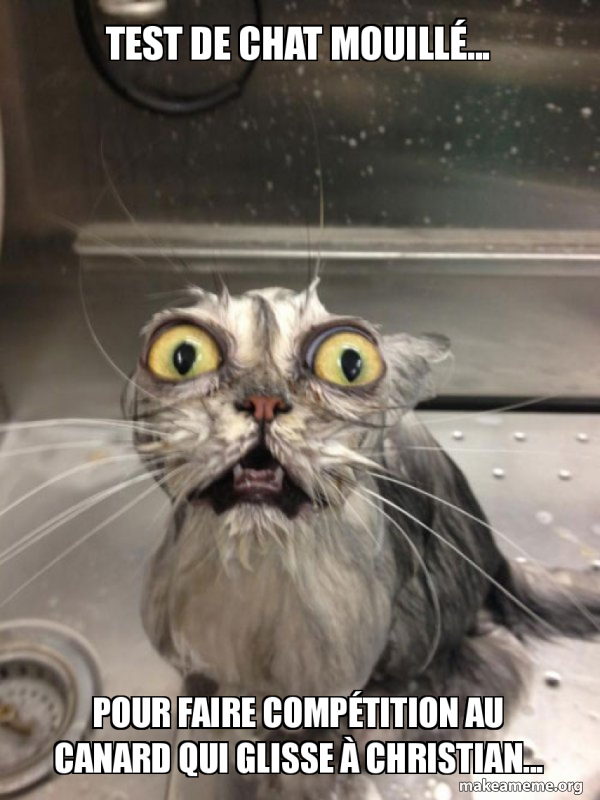 Test De Chat Mouilla C Pour Faire Compa C Tition Au Canard Qui Glisse A Christian Cat Bath Make A Meme
