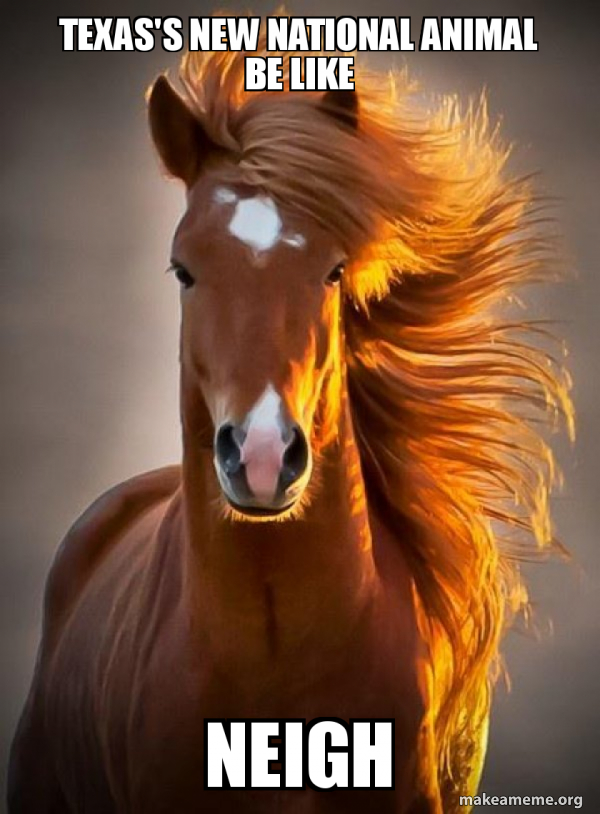 Ridiculously photogenic horse meme