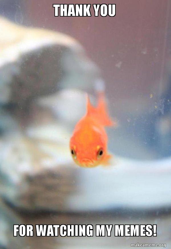 Thank you For watching my memes! Grumpy Fish Make a Meme