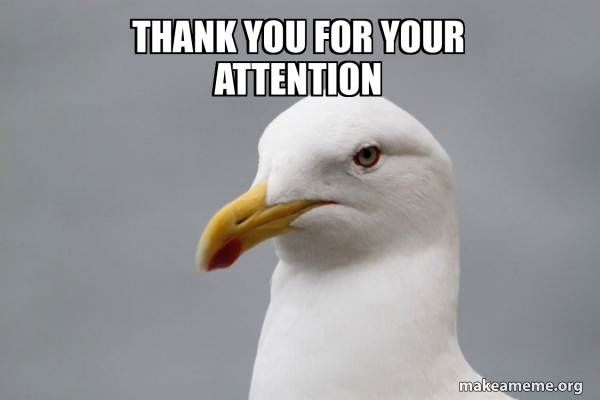 THANK YOU FOR YOUR ATTENTION Stuff That Didn t Happen Seagull Meme THANK YOU FOR YOUR ATTENTION Stuff That Didn t Happen Seagull Meme