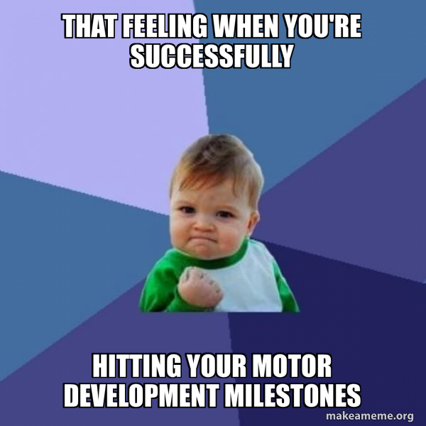 Success Kid meme