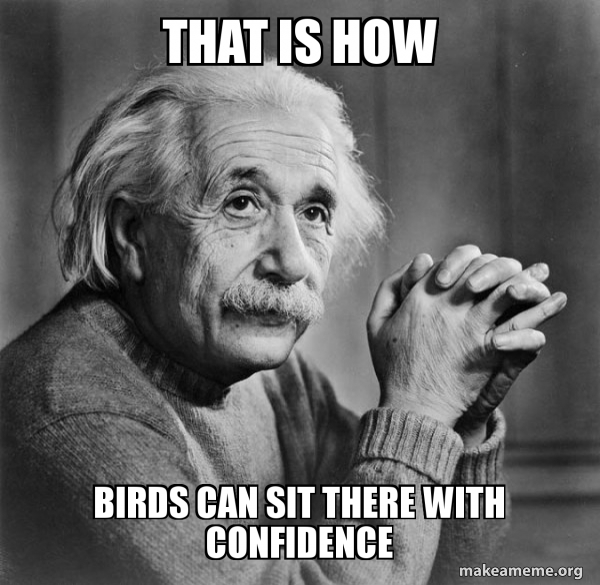 Serious Albert Einstein meme
