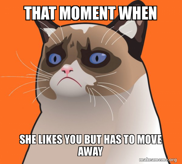 Cartoon Grumpy Cat meme