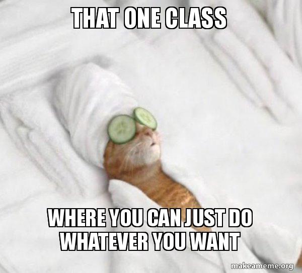 That One Class Where You Can Just Do Whatever You Want Pampered Cat Meme Make A Meme