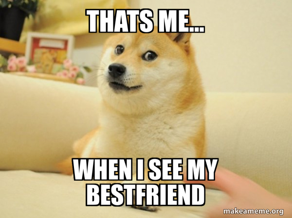 Doge meme