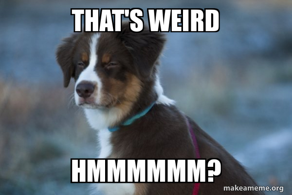 Unsure Dog meme