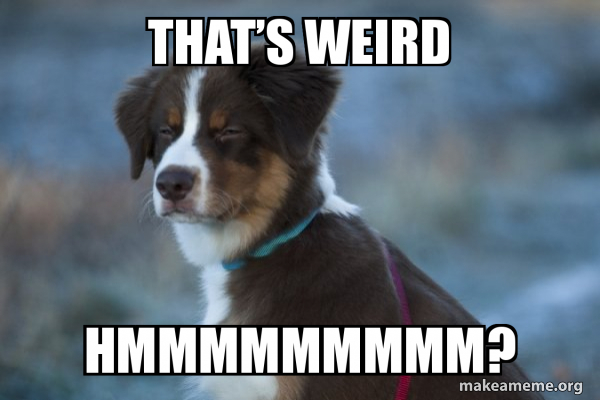 Unsure Dog meme