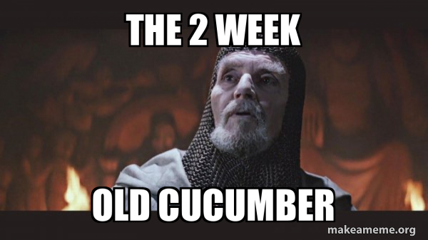 The 2 week old cucumber - You Chose Poorly - Grail Knight Meme Generator