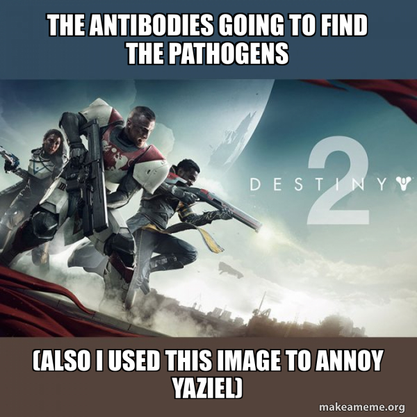 The Antibodies going to find the pathogens (also I used this image to ...